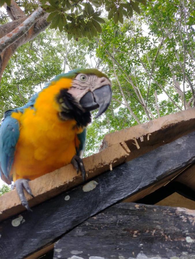 Hotel Alto Amazonas Летисия Экстерьер фото